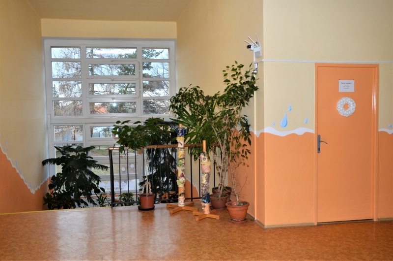 DSC_8544 (2)