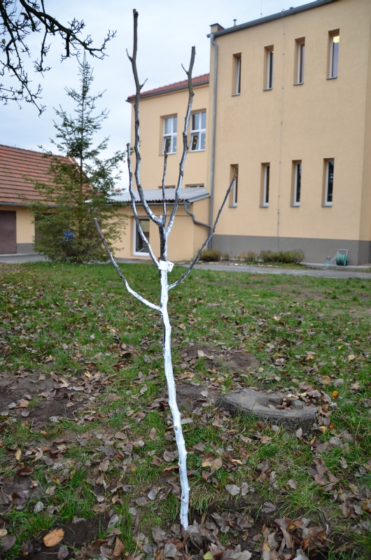DSC_7064 (2)