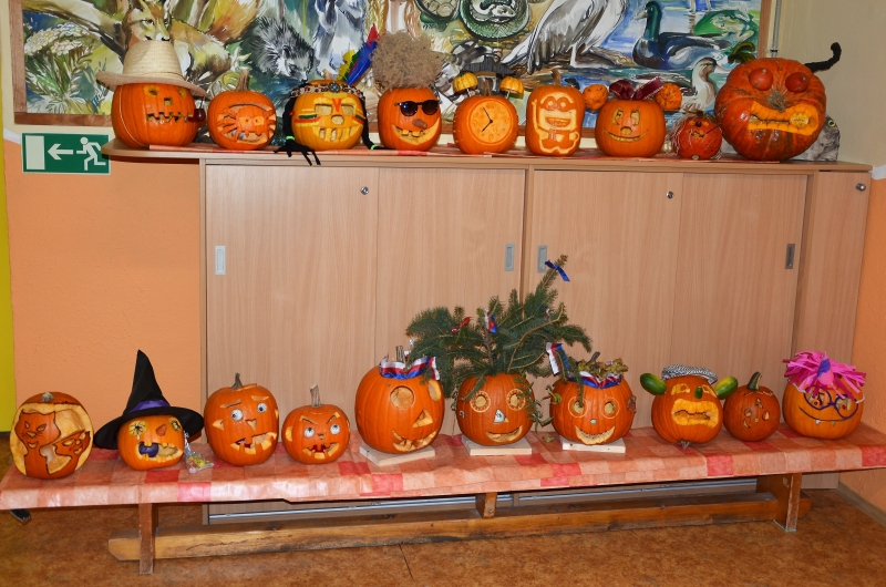 DSC_6863 (2)