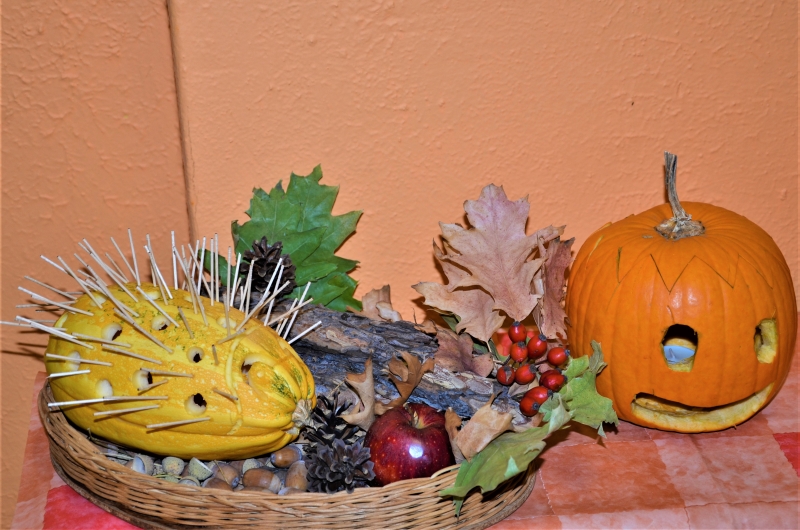 DSC_6869 (2)