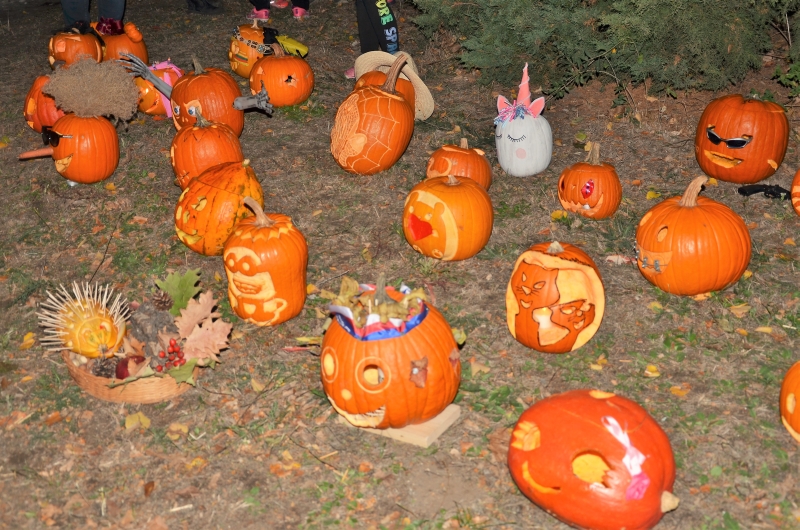 DSC_6958 (2)