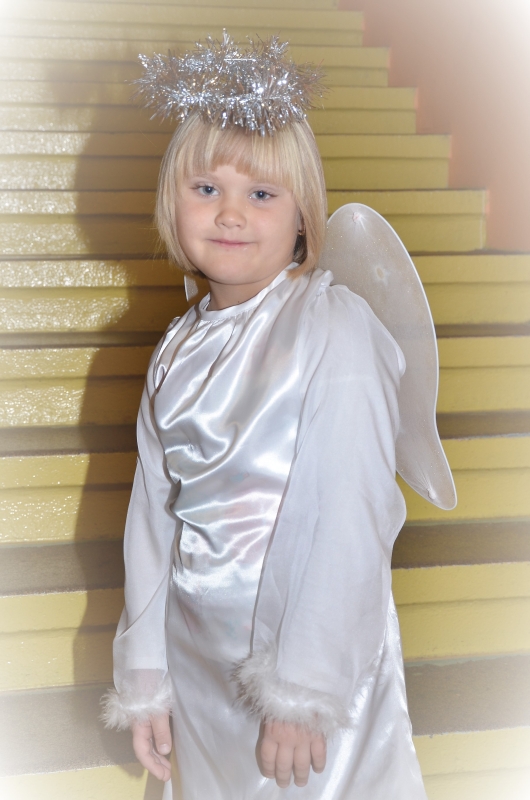 DSC_7382 (2)