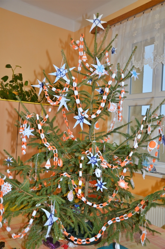 DSC_7987 (2)