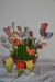 DSC_0764 – kopie (2)