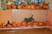 DSC_6863 (2)