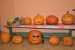 DSC_6868 (2)