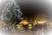 DSC_7319 (4)