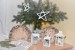 DSC_8005 (2)